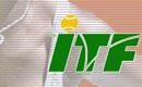 Vai al sito dell'ITF, International Tennis Federation